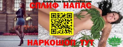 дживик Пенза