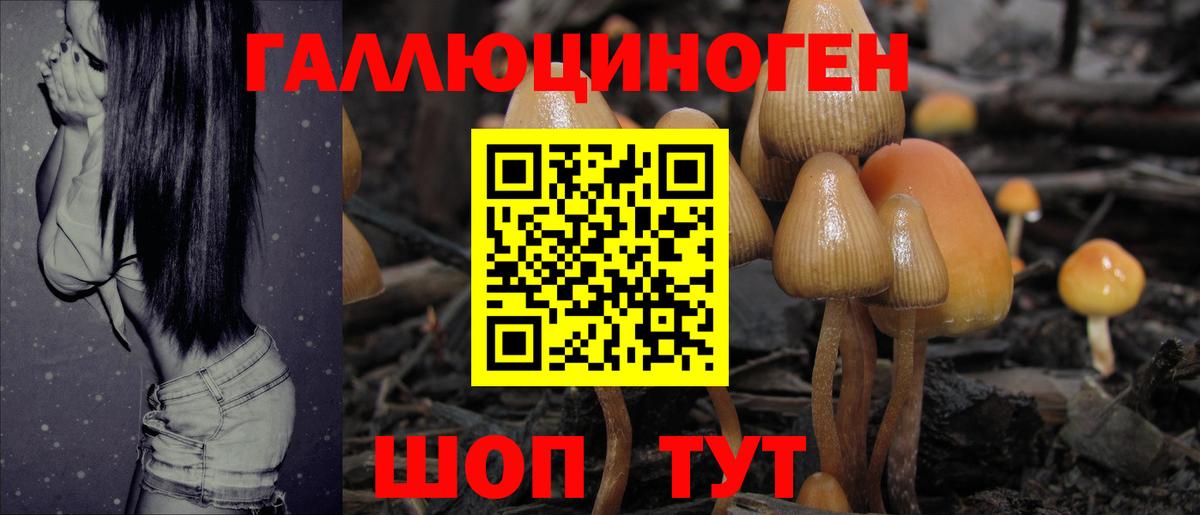 Саров  Псилоцибиновые грибы Psilocybe  Вход с VPN 